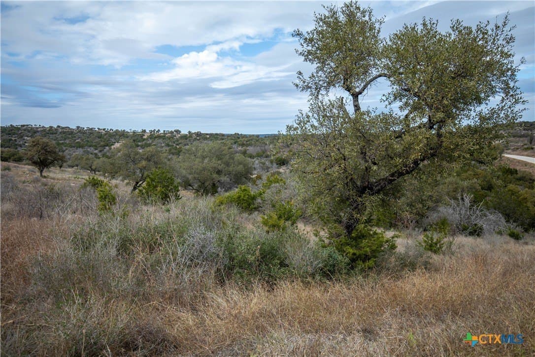 1.62 acres in Burnet County - photo 17