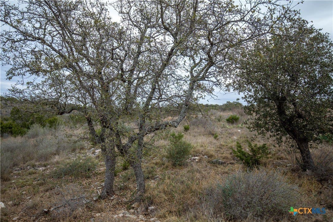 1.62 acres in Burnet County - photo 38