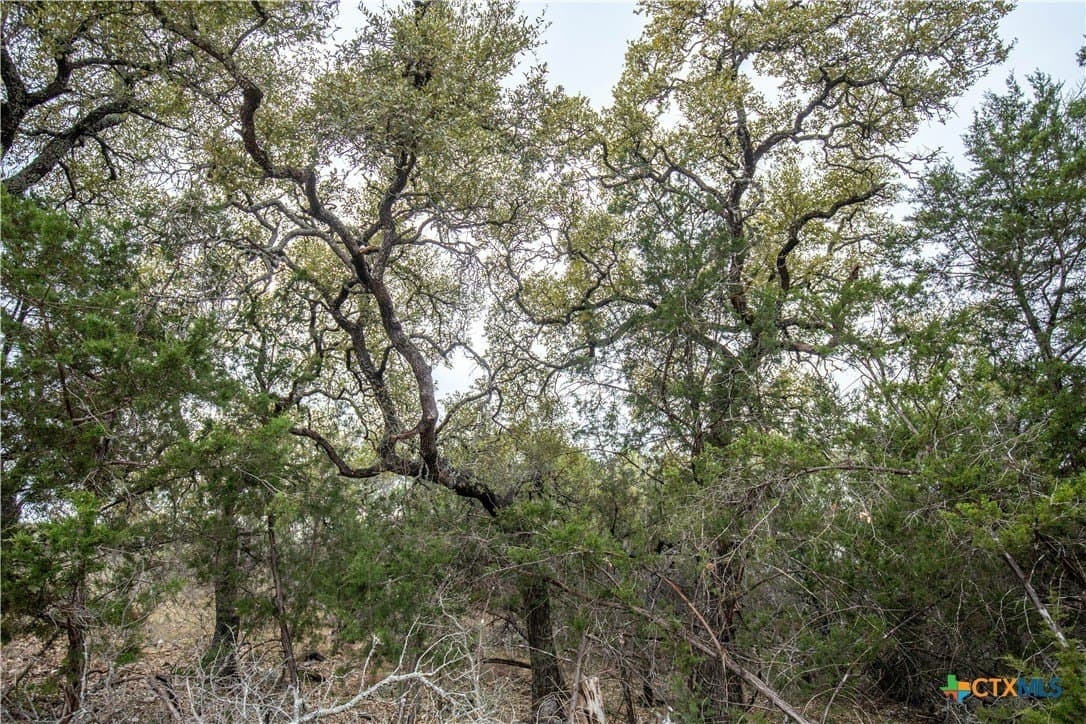 1.62 acres in Burnet County - photo 24
