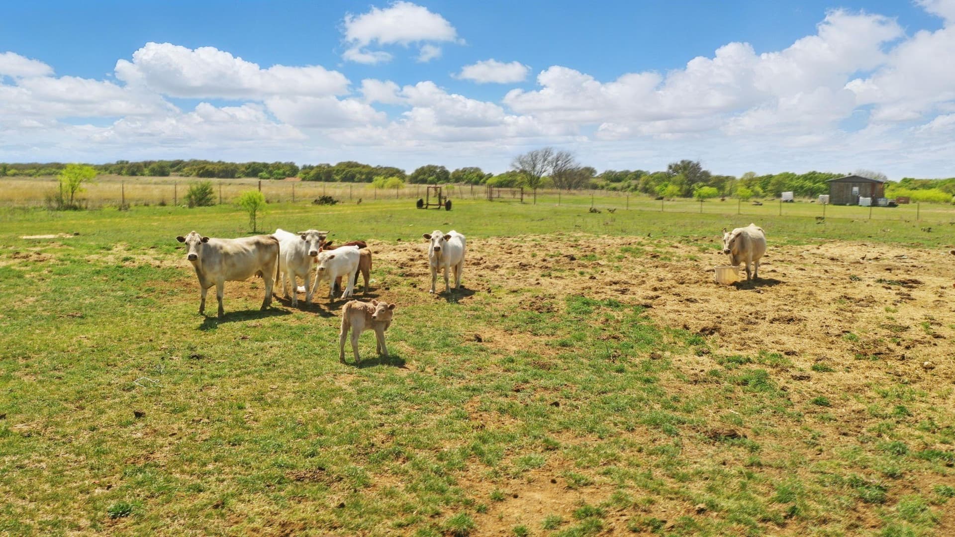 132.53 acres in Comanche County - photo 16