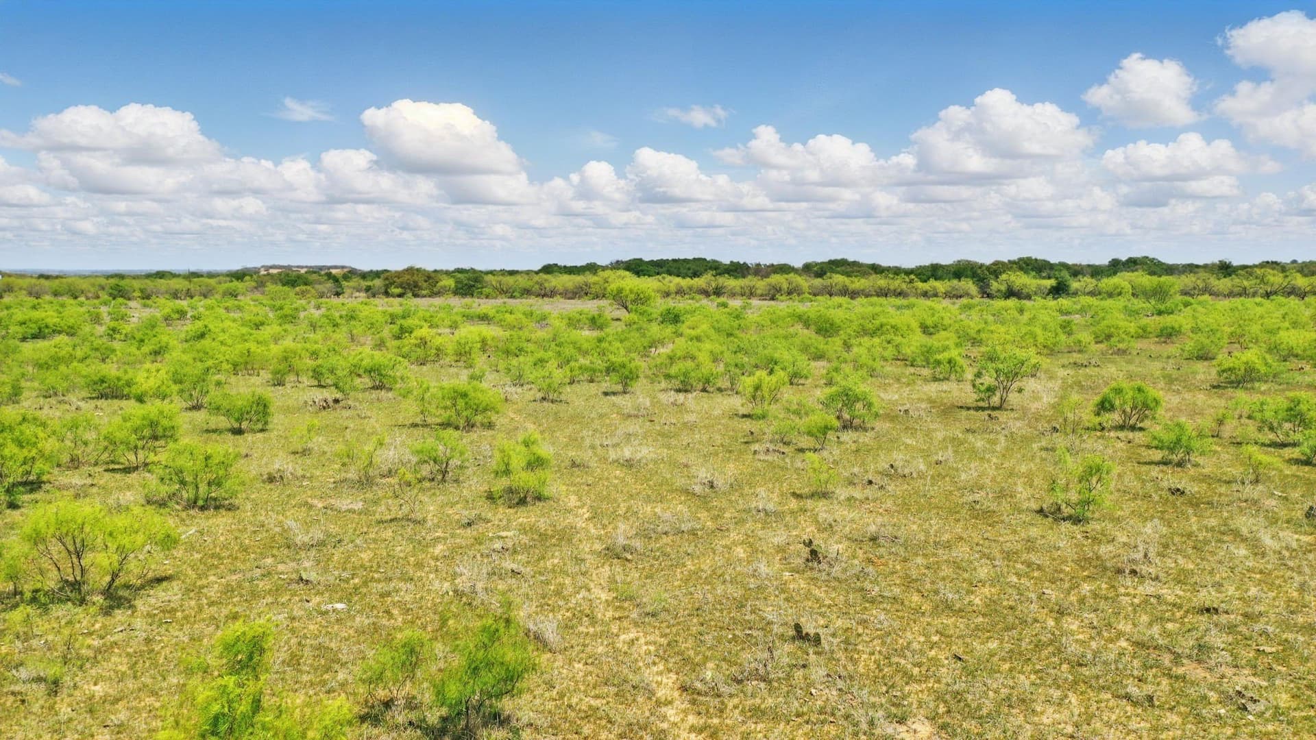 132.53 acres in Comanche County - photo 8