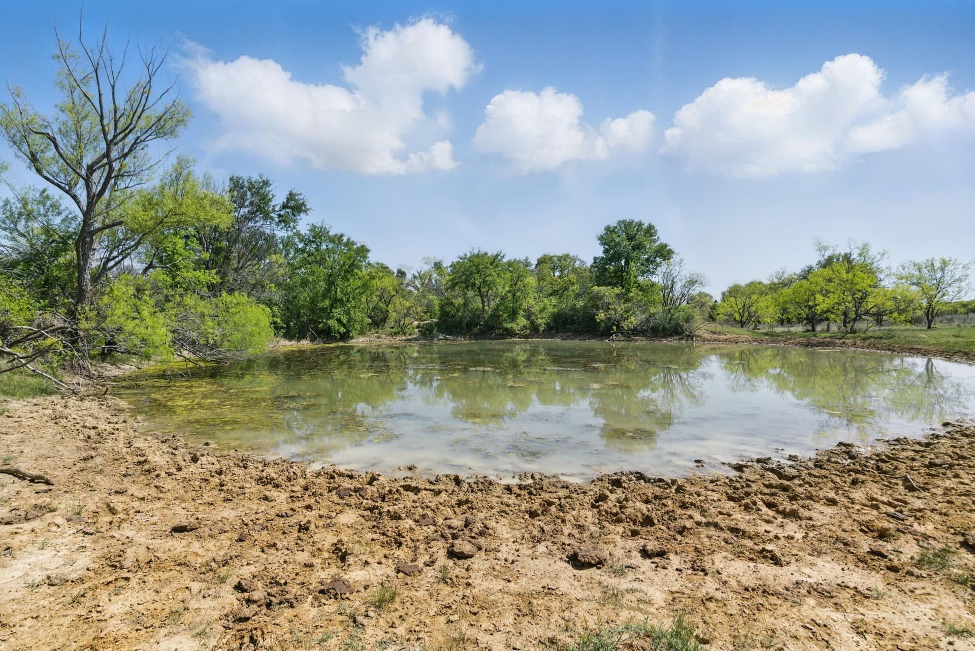 132.53 acres in Comanche County - photo 27