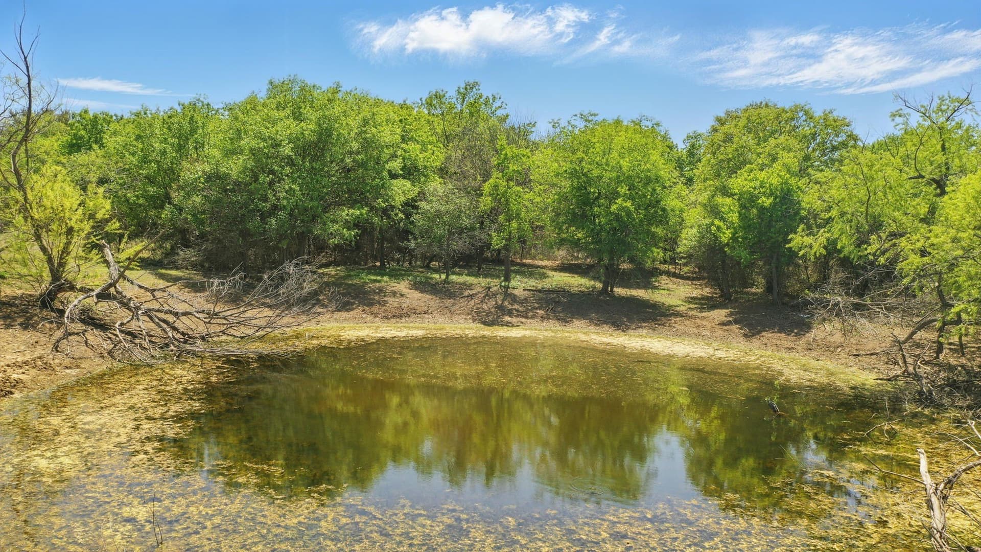 132.53 acres in Comanche County gallery image 4