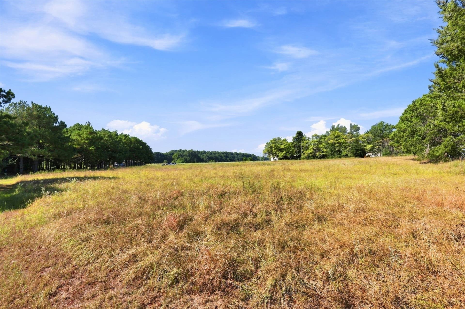 10.97 acres in Morris County - photo 26