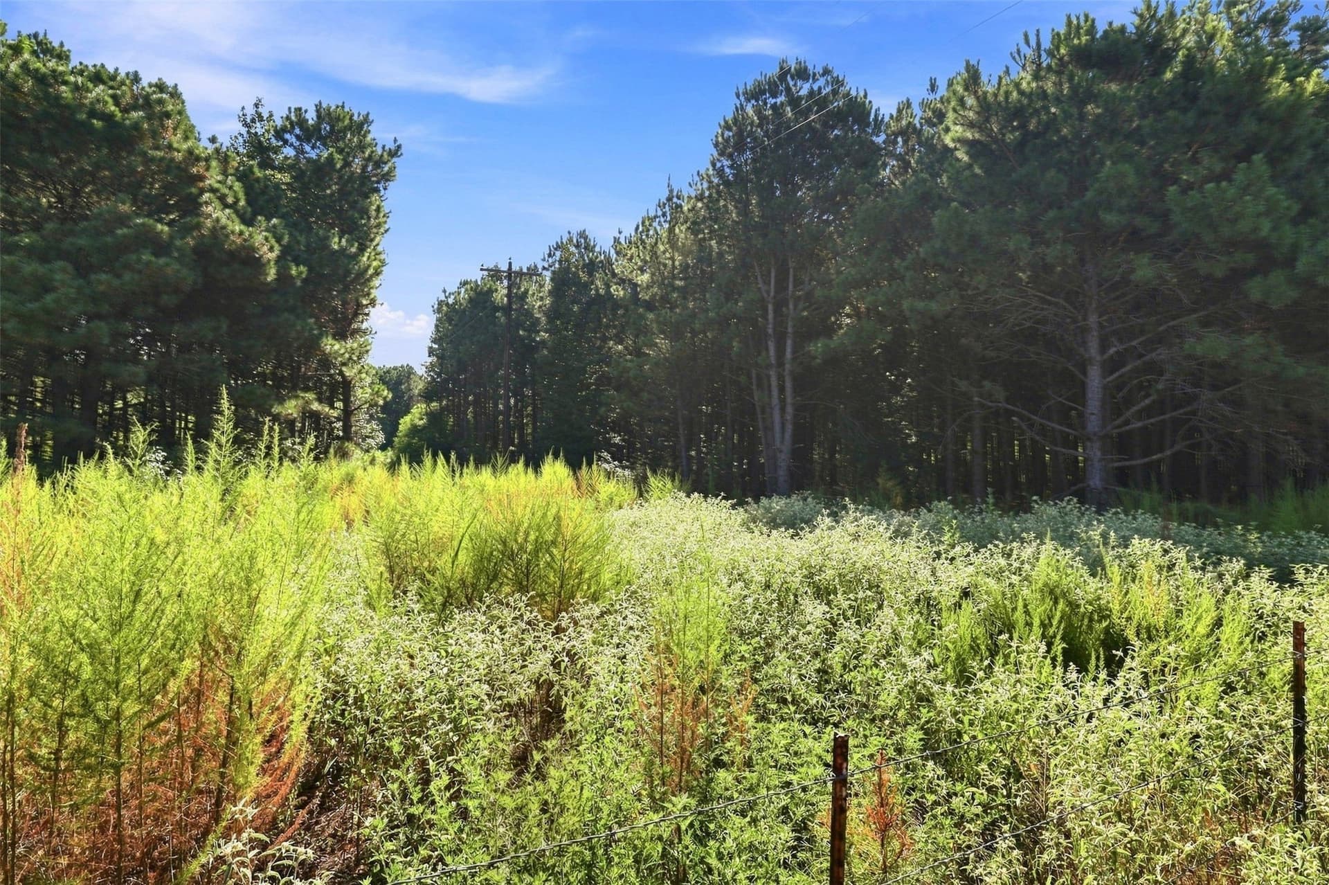 10.97 acres in Morris County - photo 28