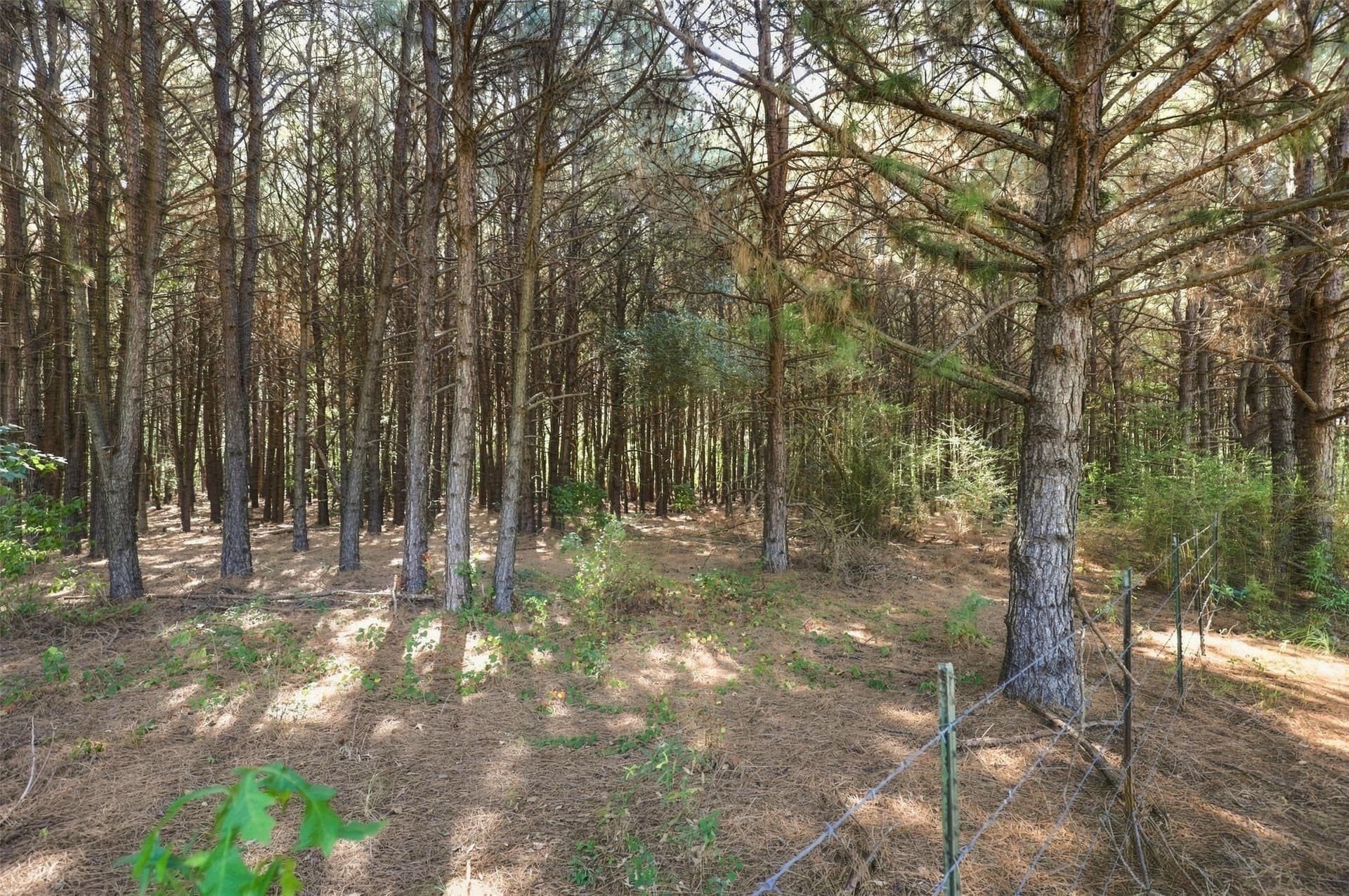 10.97 acres in Morris County - photo 29