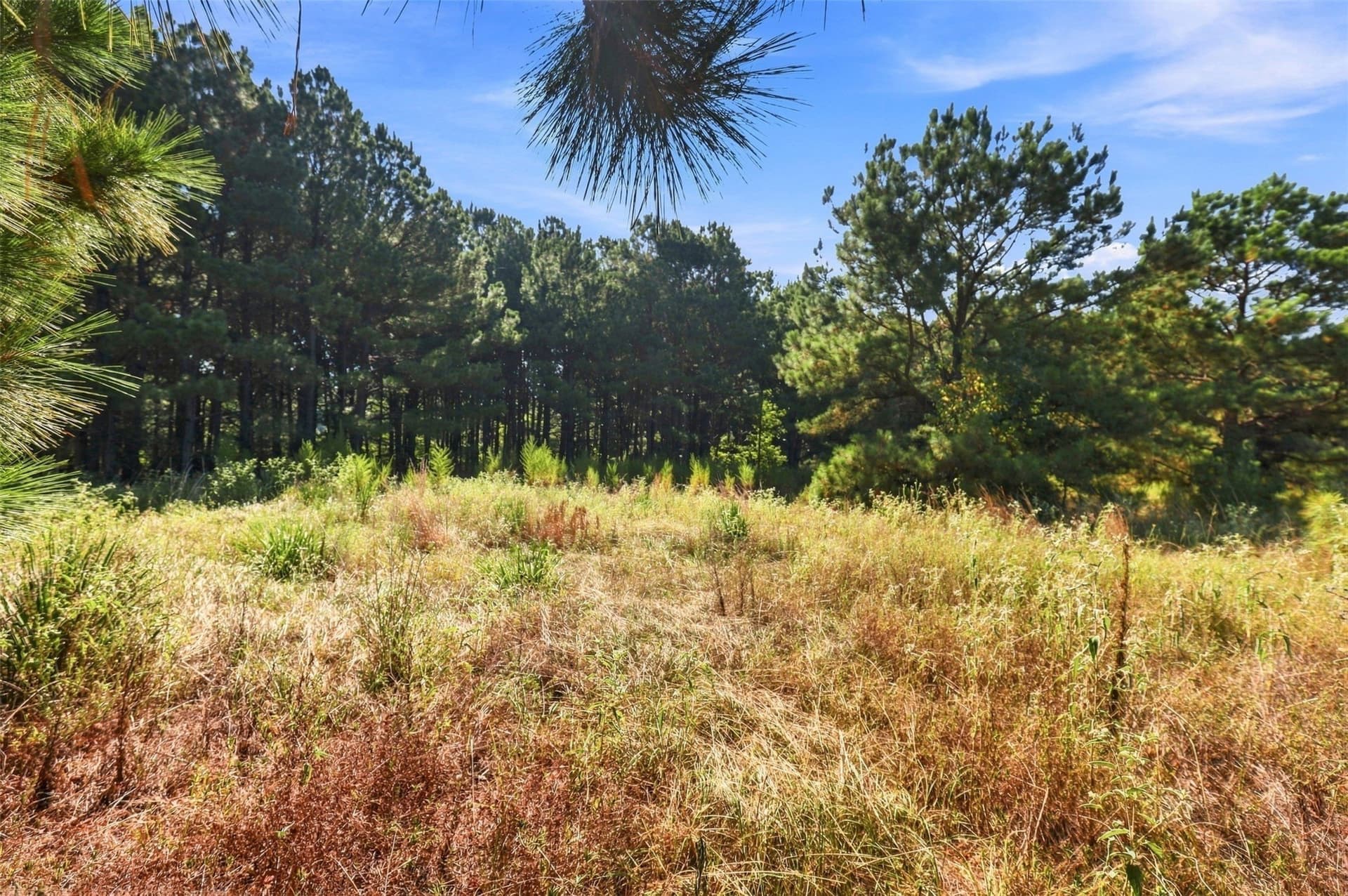 10.97 acres in Morris County - photo 27