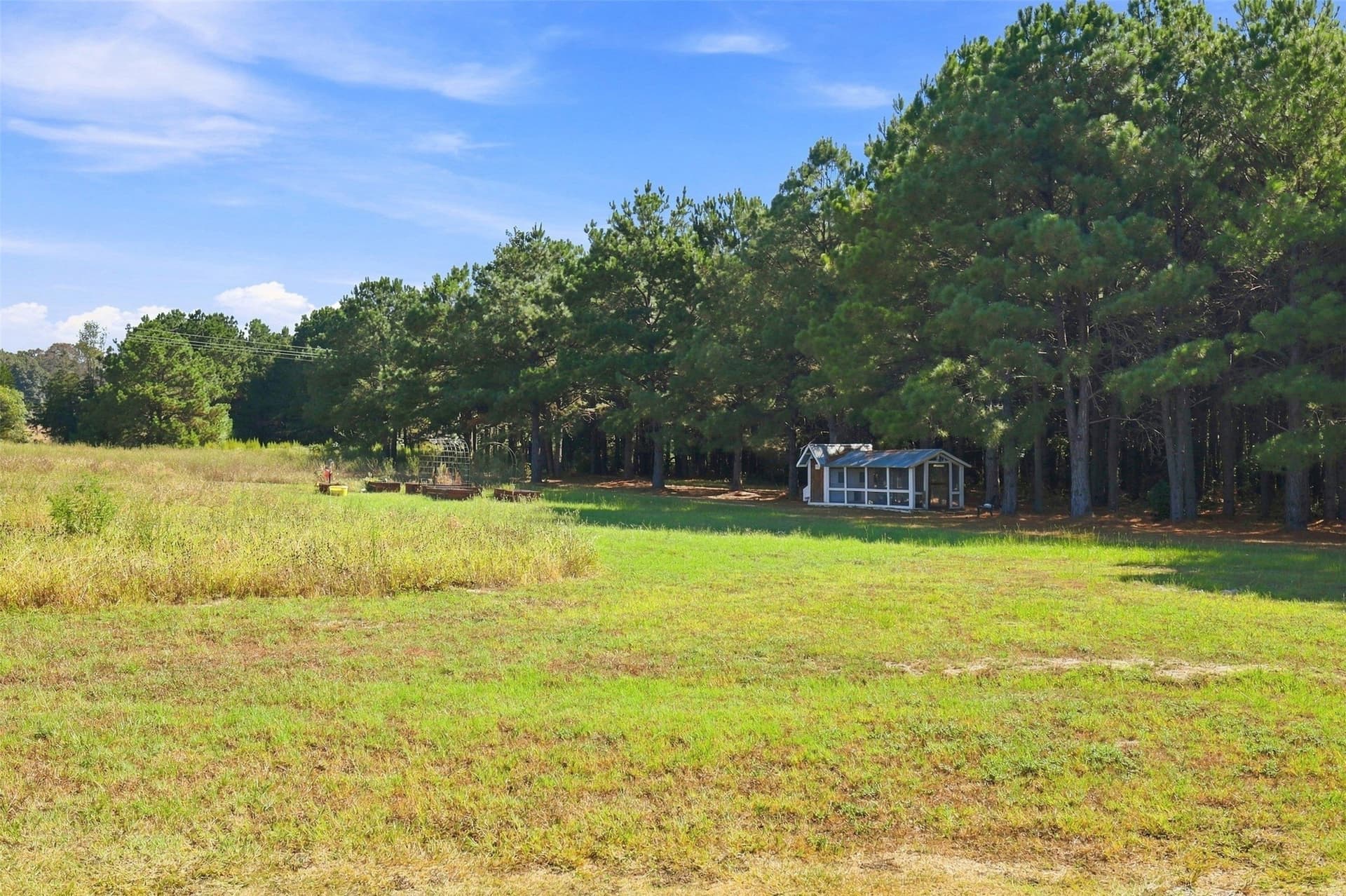 10.97 acres in Morris County - photo 25