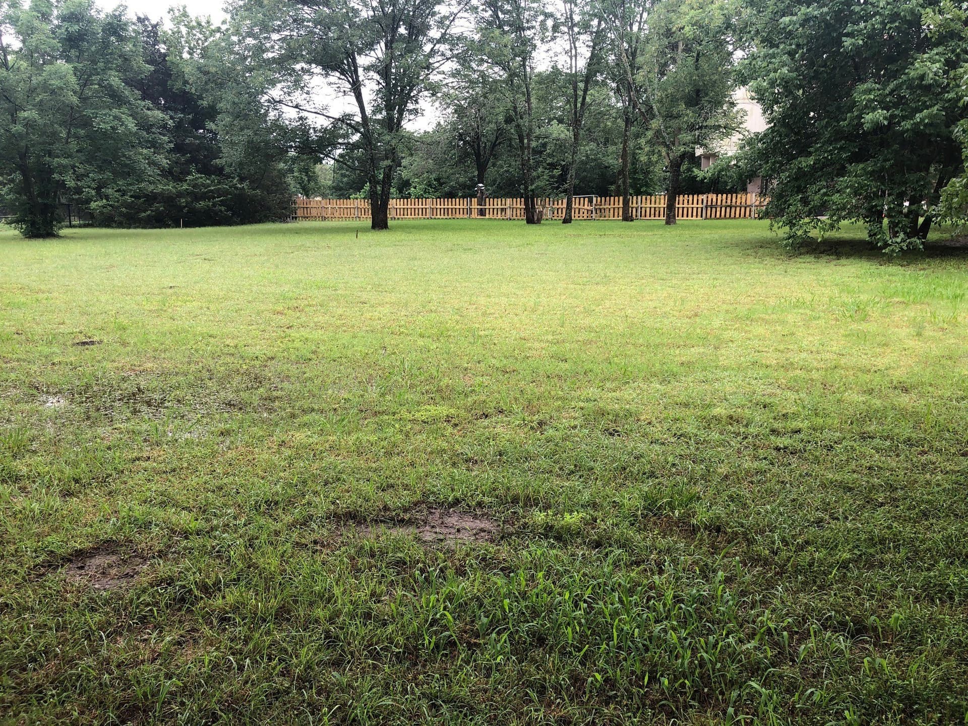 0.5 acres in Grayson County - photo 6
