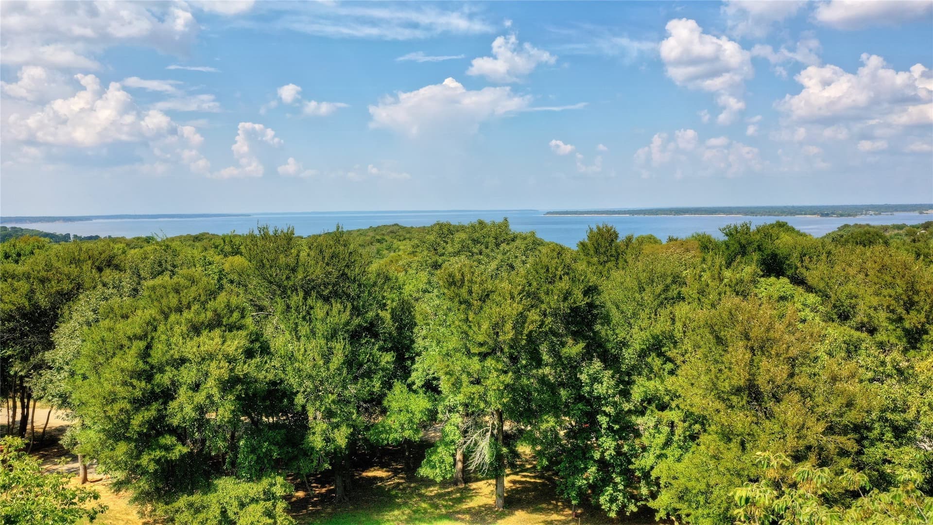 0.5 acres in Grayson County - photo 8