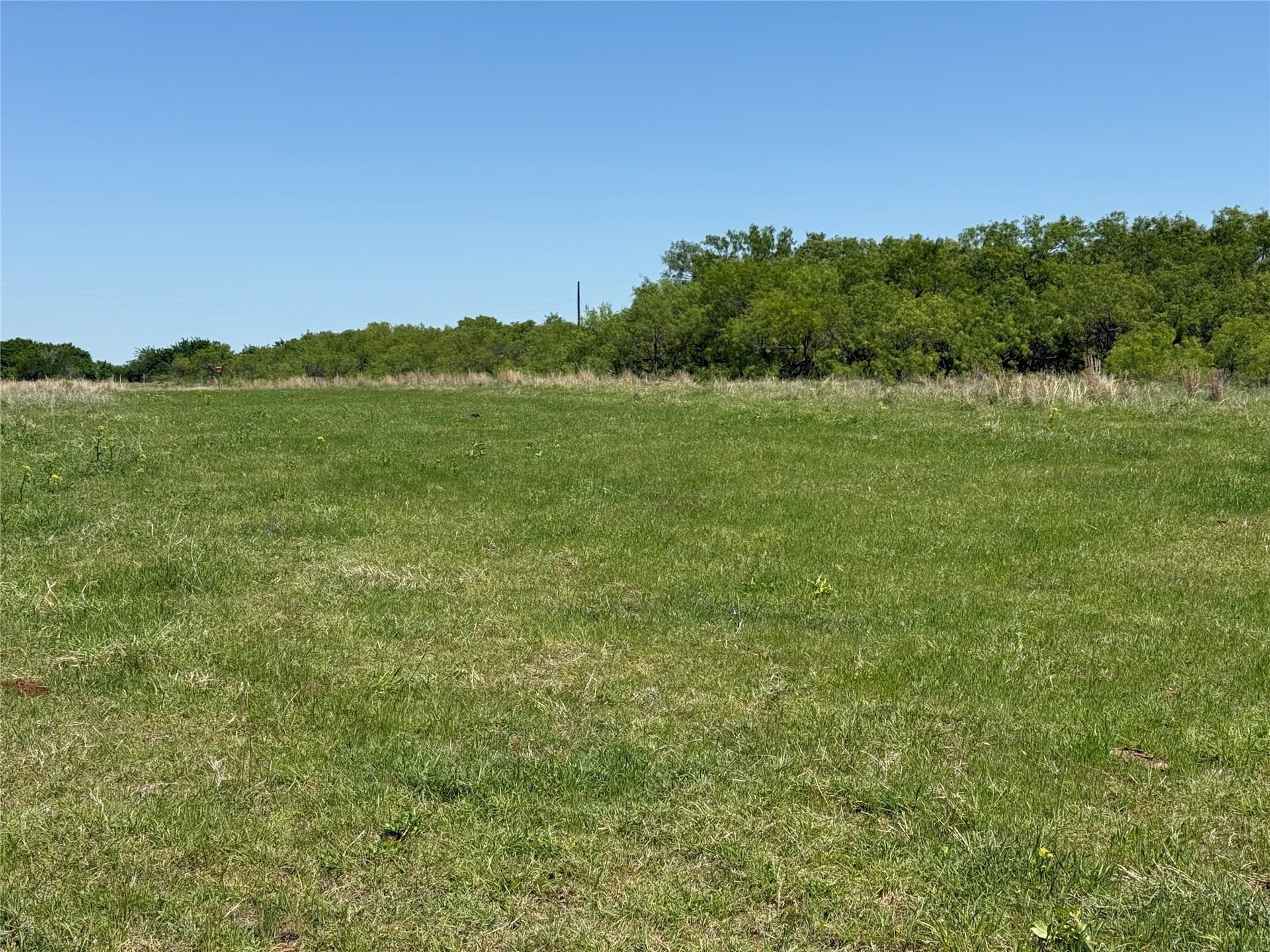 60 acres in Montague County - photo 6