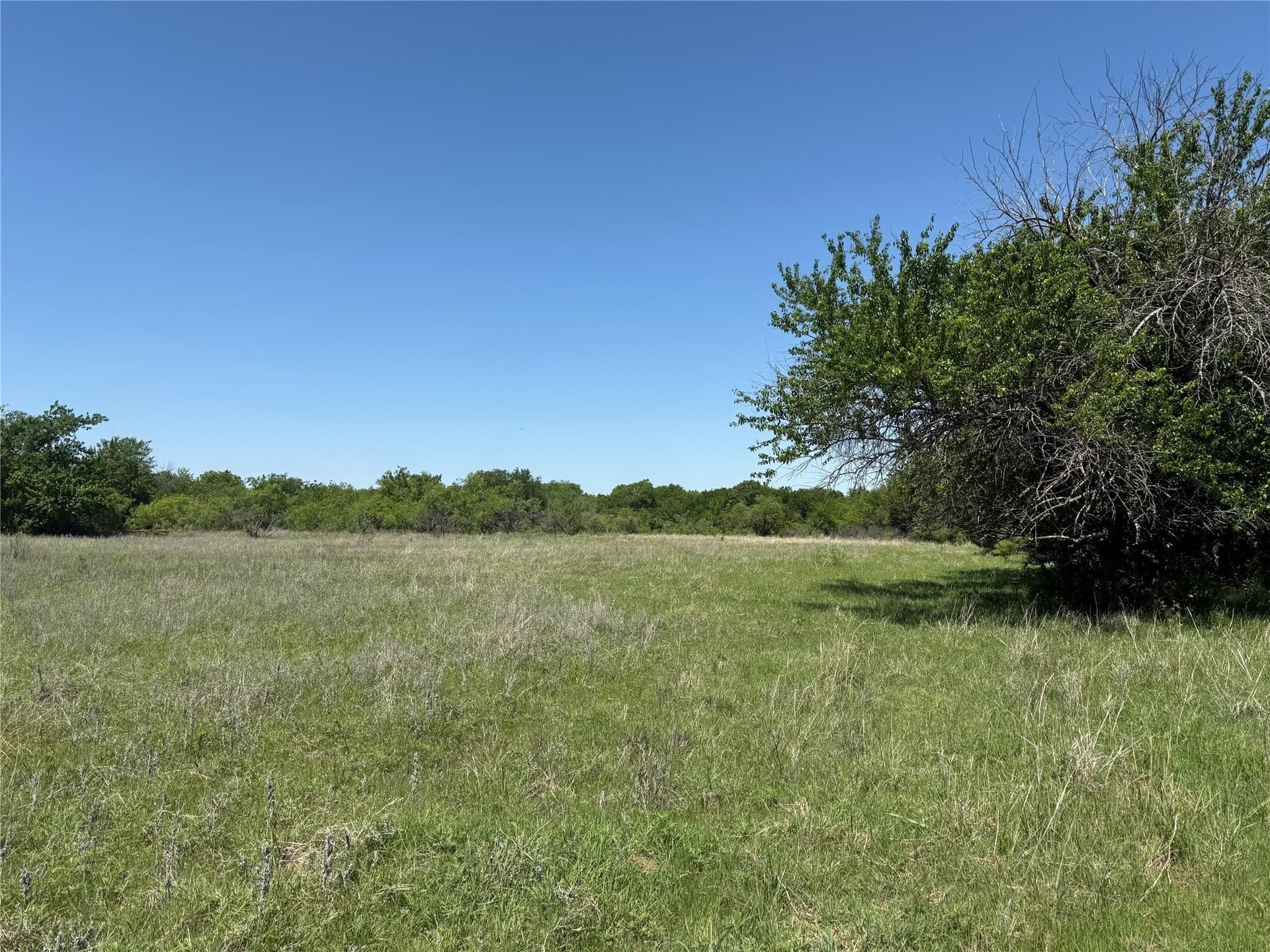 60 acres in Montague County gallery image 2