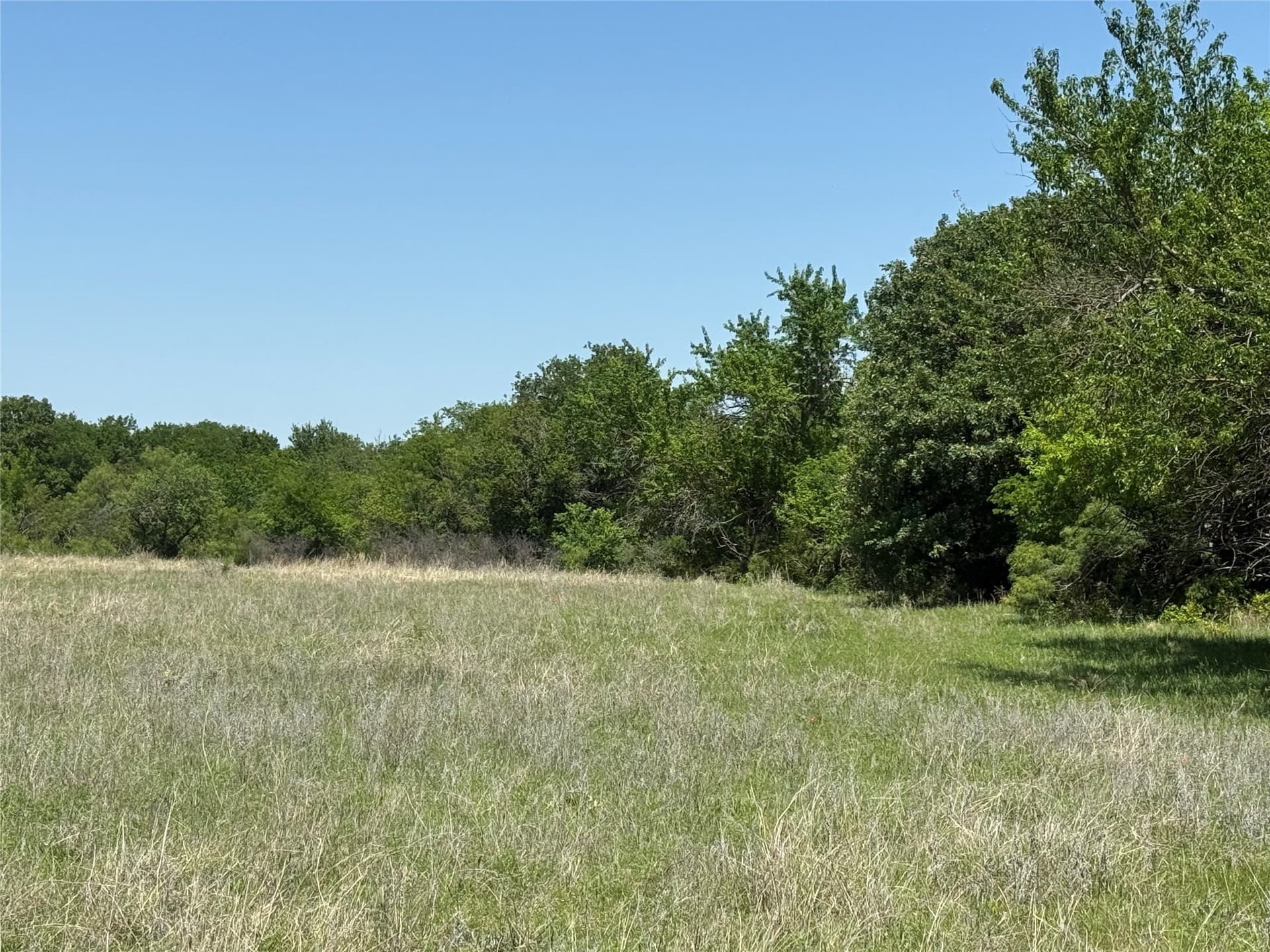 60 acres in Montague County gallery image 3