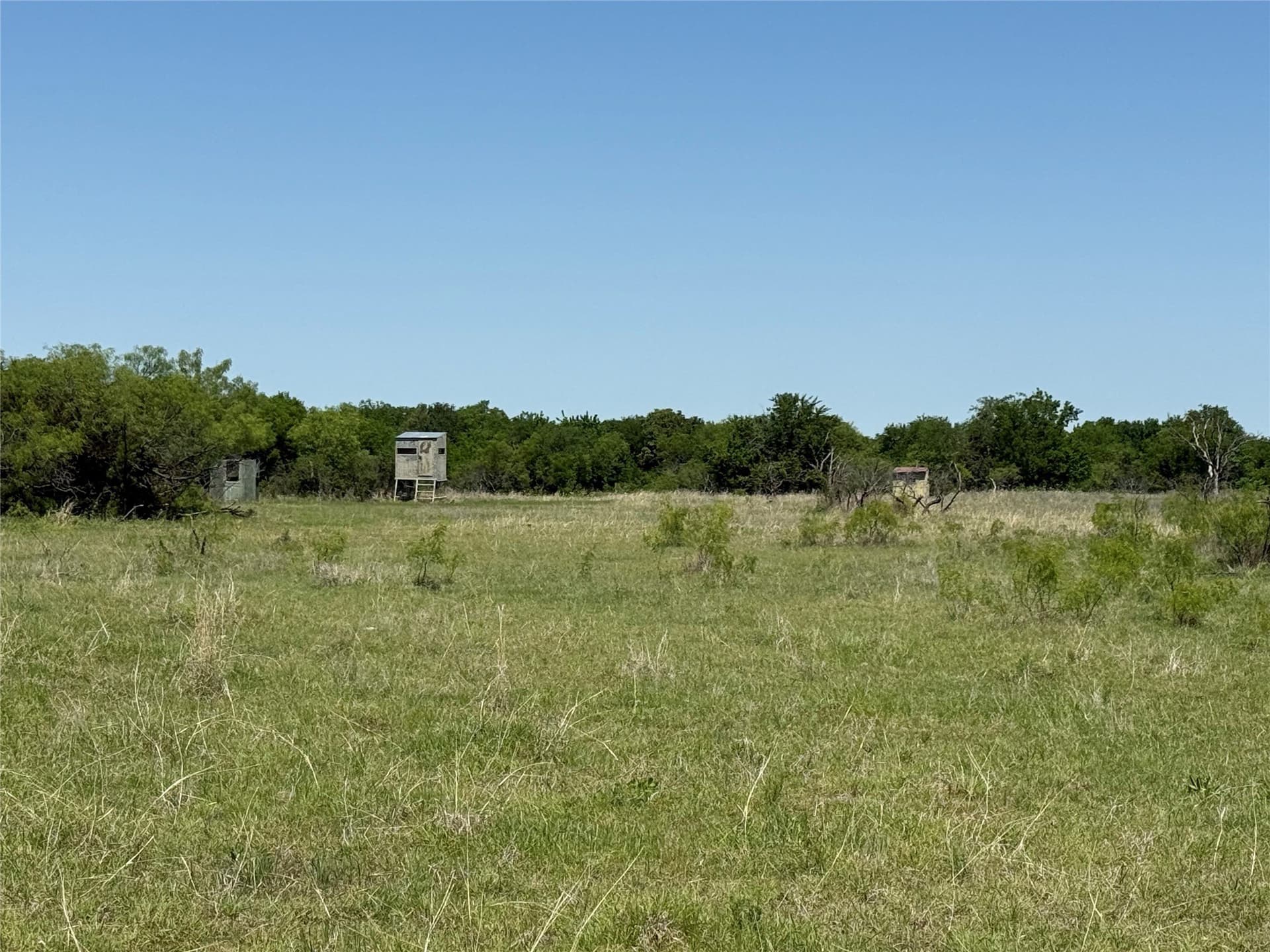 60 acres in Montague County - photo 8