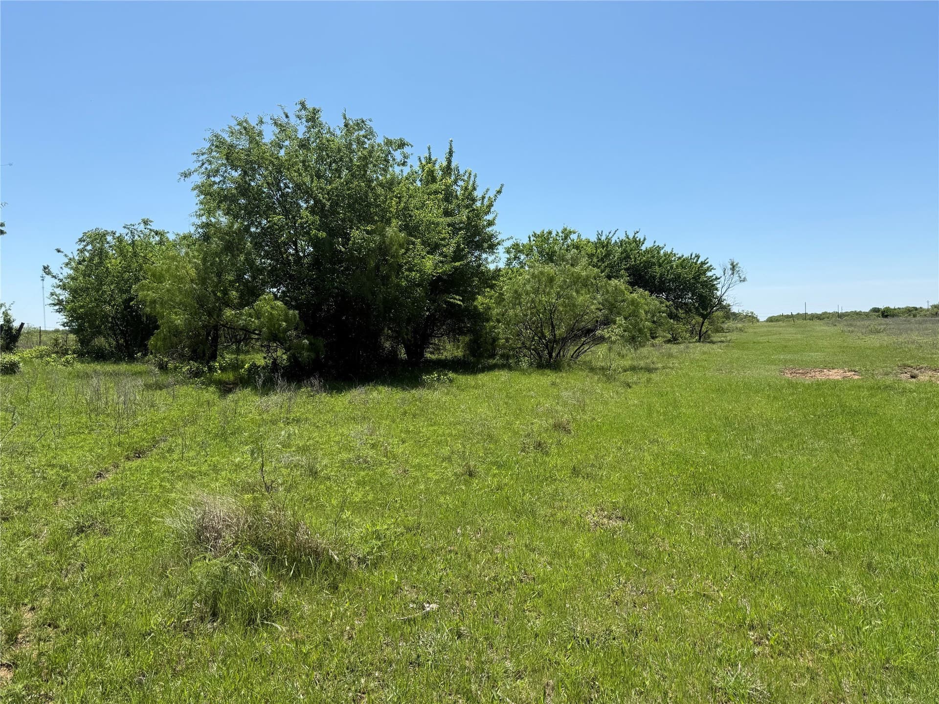 60 acres in Montague County - photo 7
