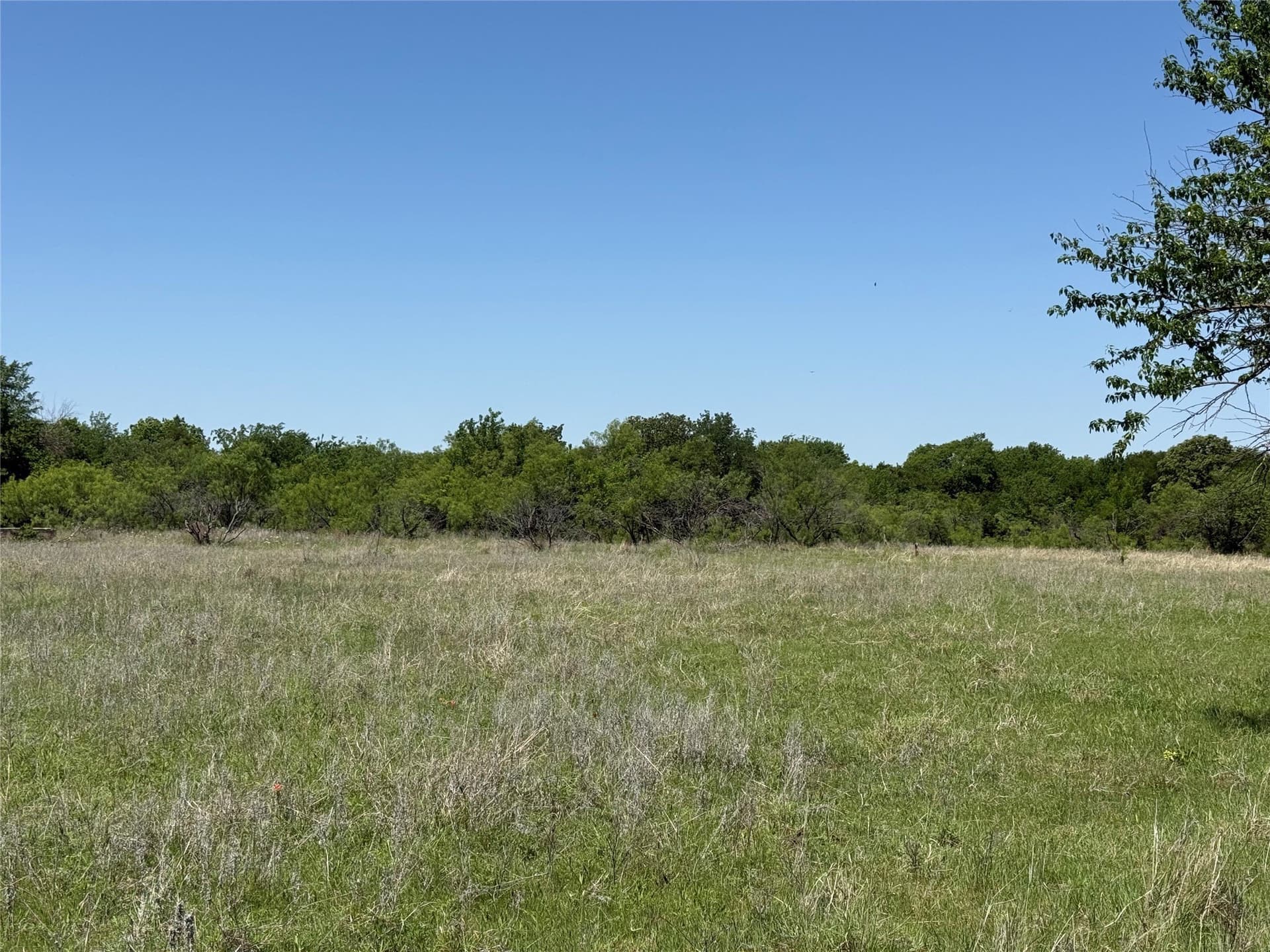 60 acres in Montague County featured view