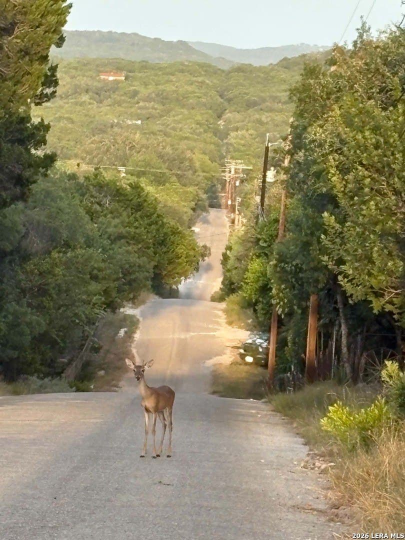 1.65 acres in Bandera County - photo 15