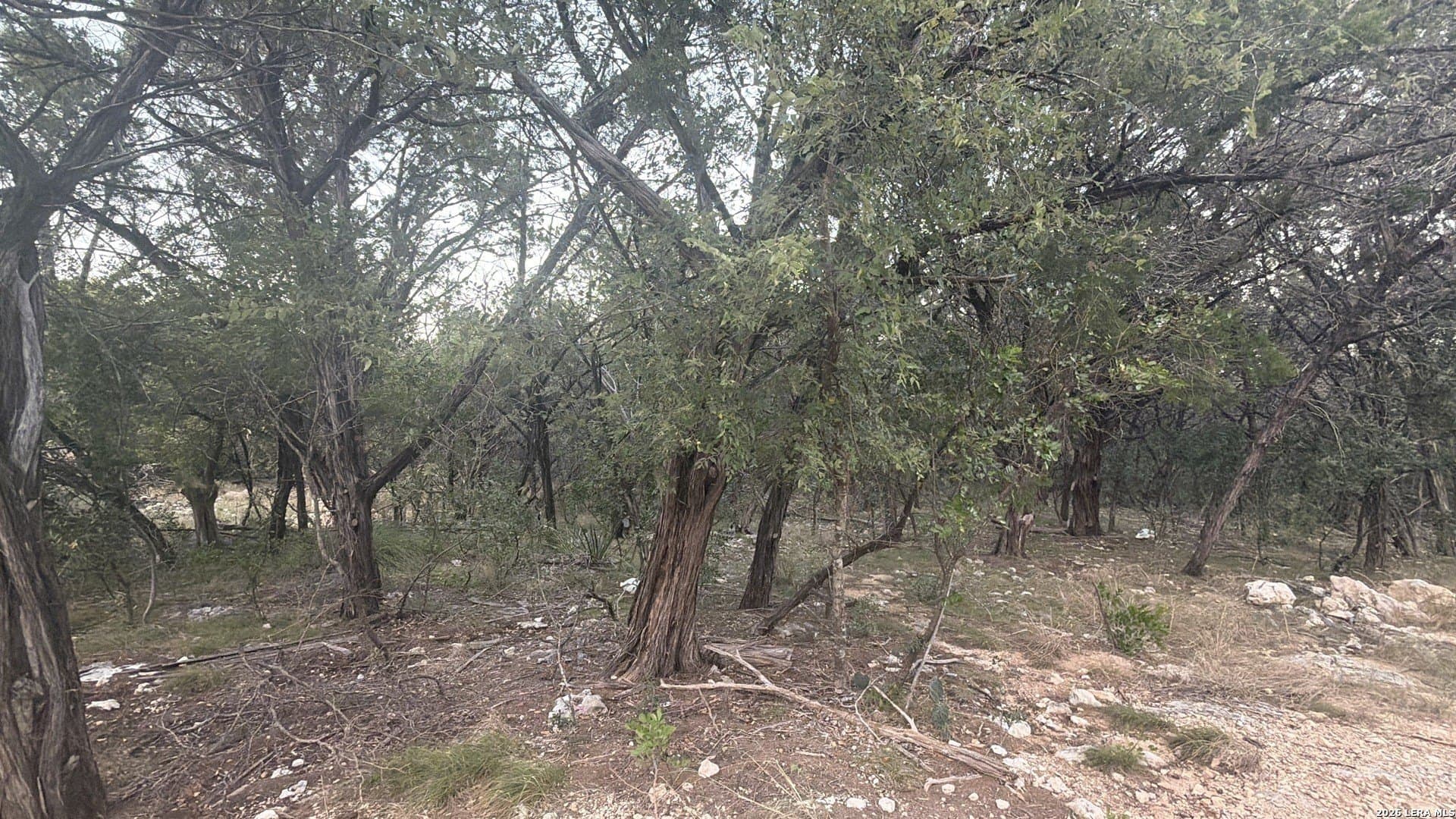 1.65 acres in Bandera County - photo 18