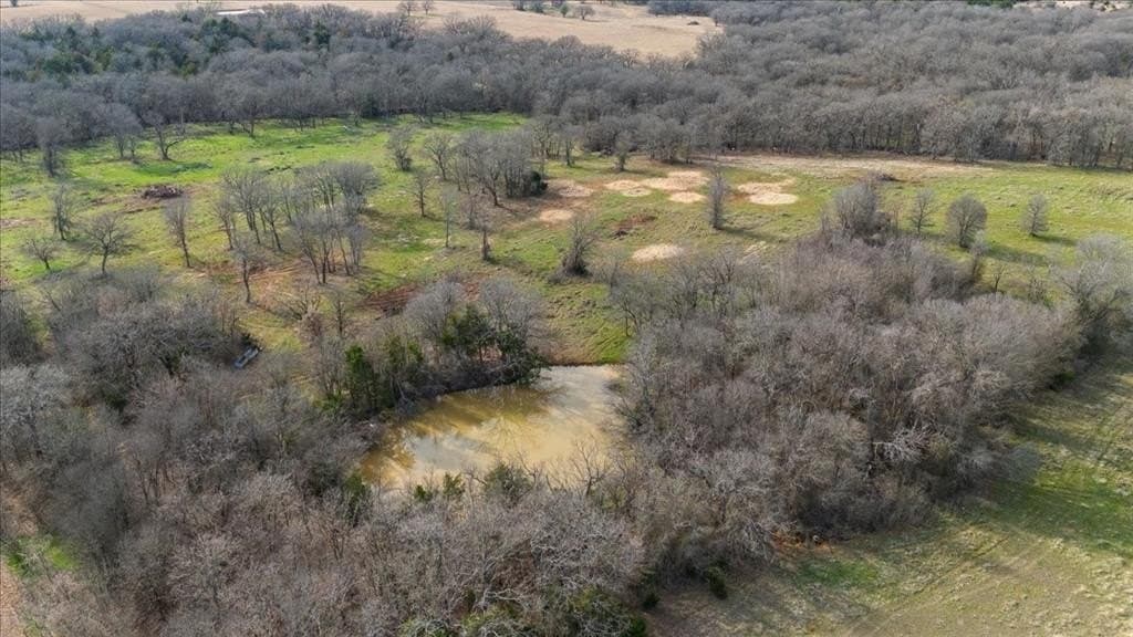 32 acres in Hill County featured view