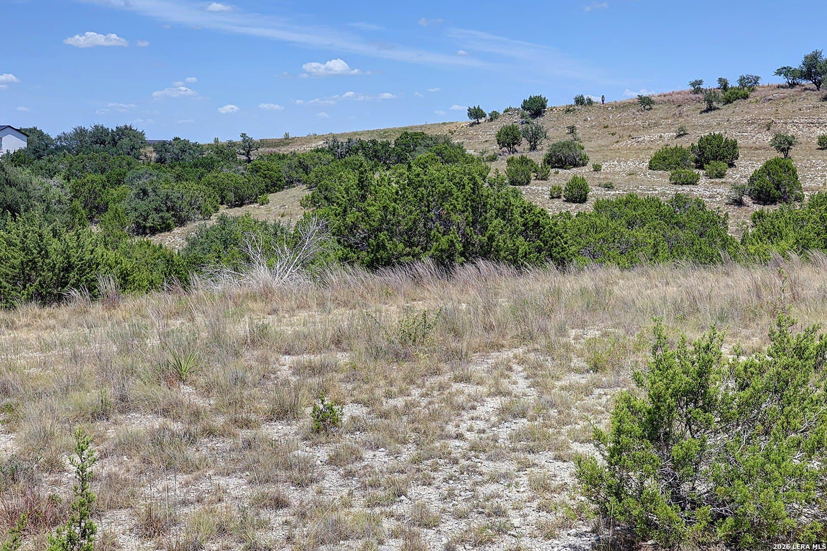 5 acres in Blanco County - photo 8