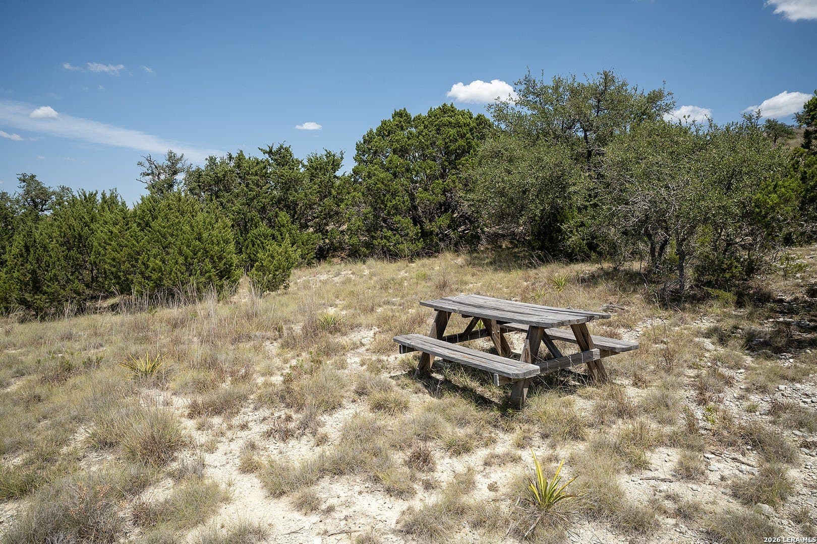 5 acres in Blanco County - photo 12