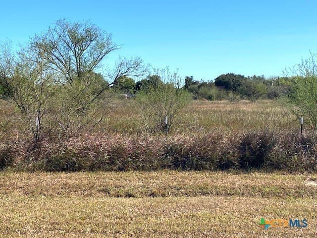 3.3 acres in Victoria County gallery image 3