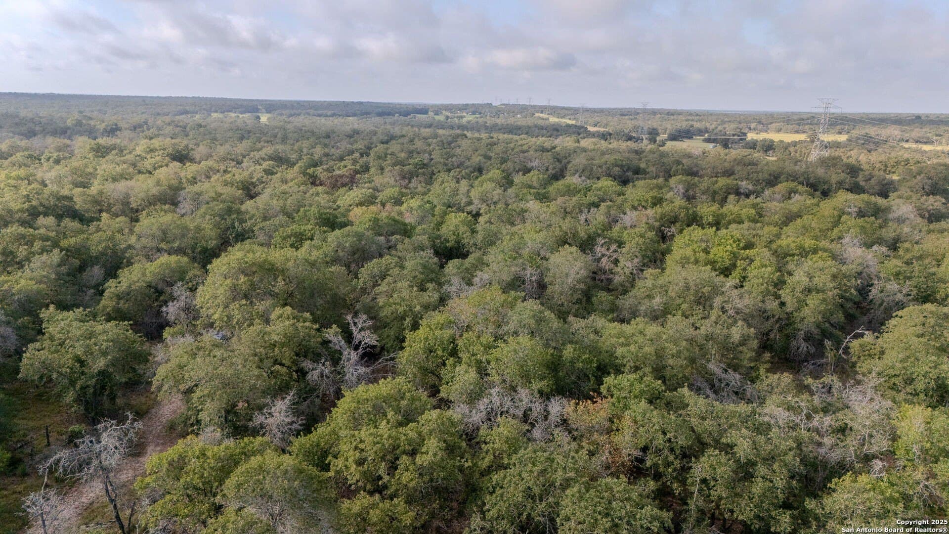 3 acres in Guadalupe County - photo 7