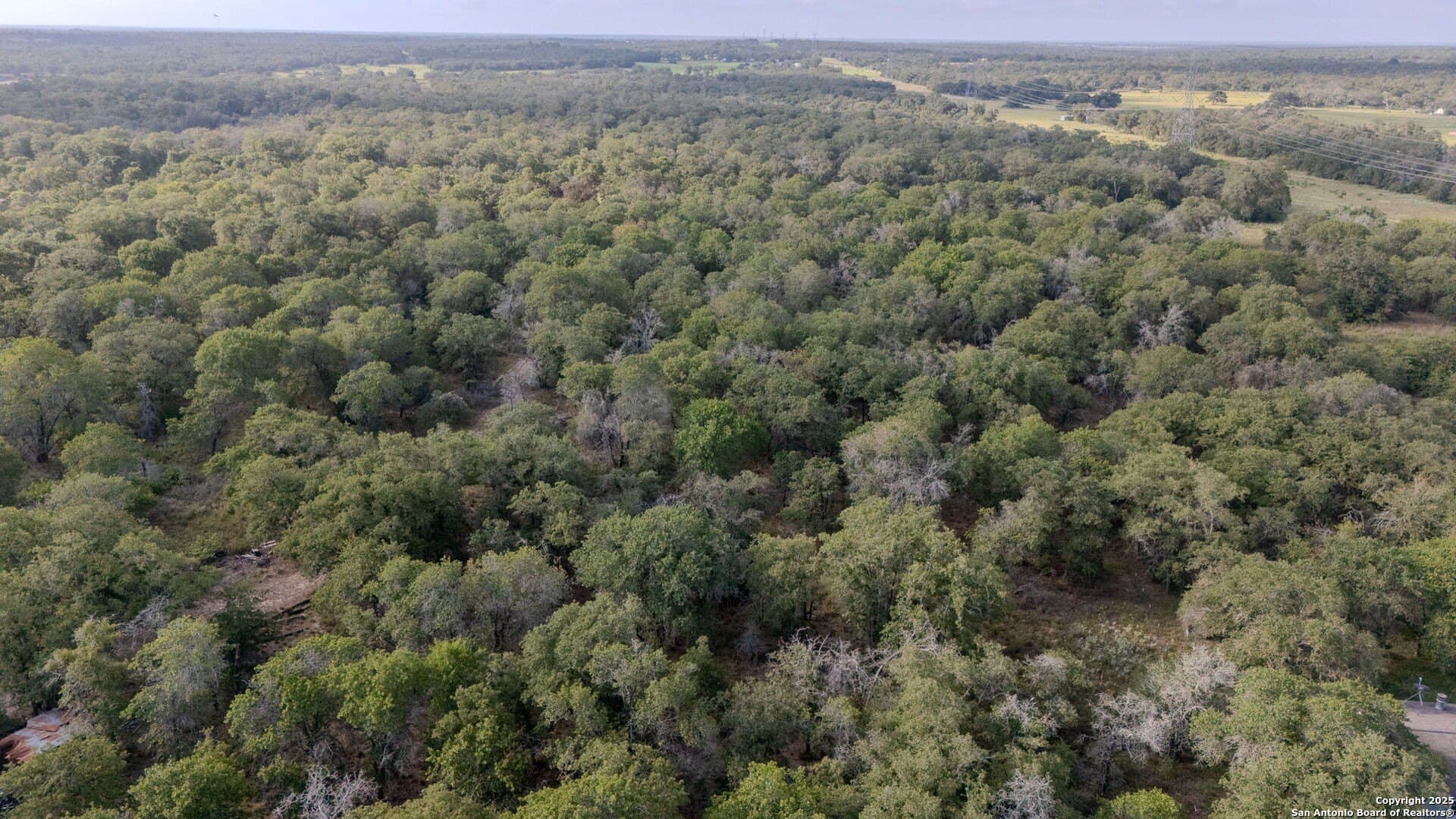 3 acres in Guadalupe County - photo 6