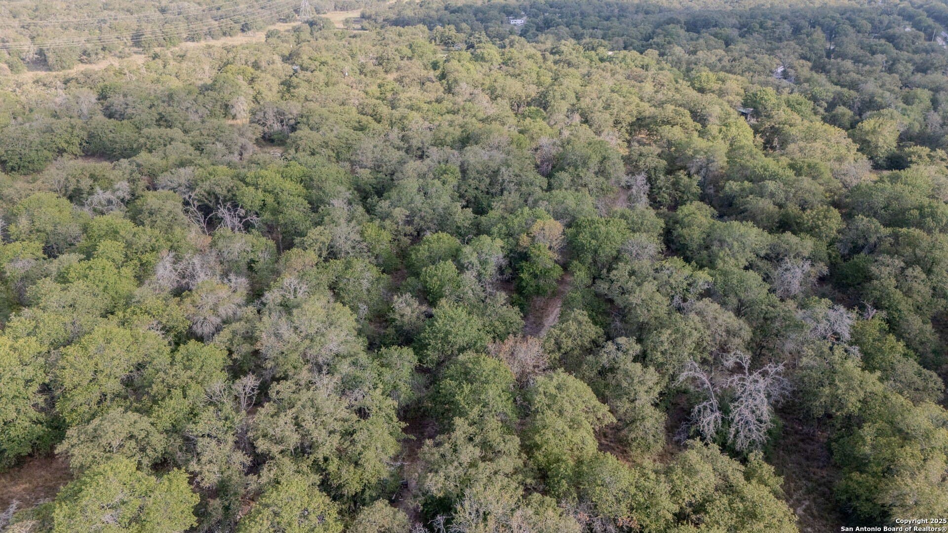 3 acres in Guadalupe County gallery image 4