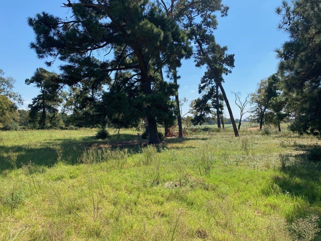 5.01 acres in Texas County gallery image 4