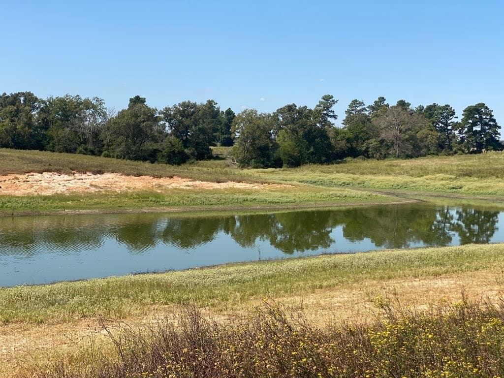 5.01 acres in Texas County