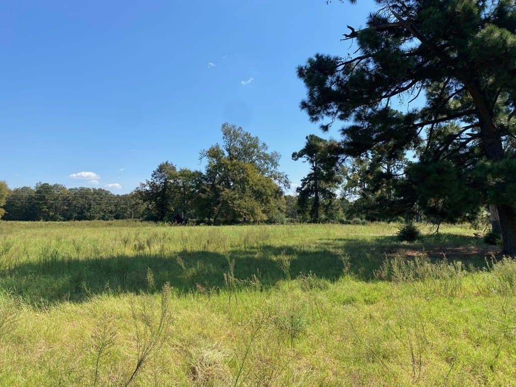 5.01 acres in Texas County featured view