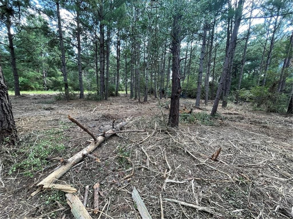 0.52 acres in Leon County - photo 6