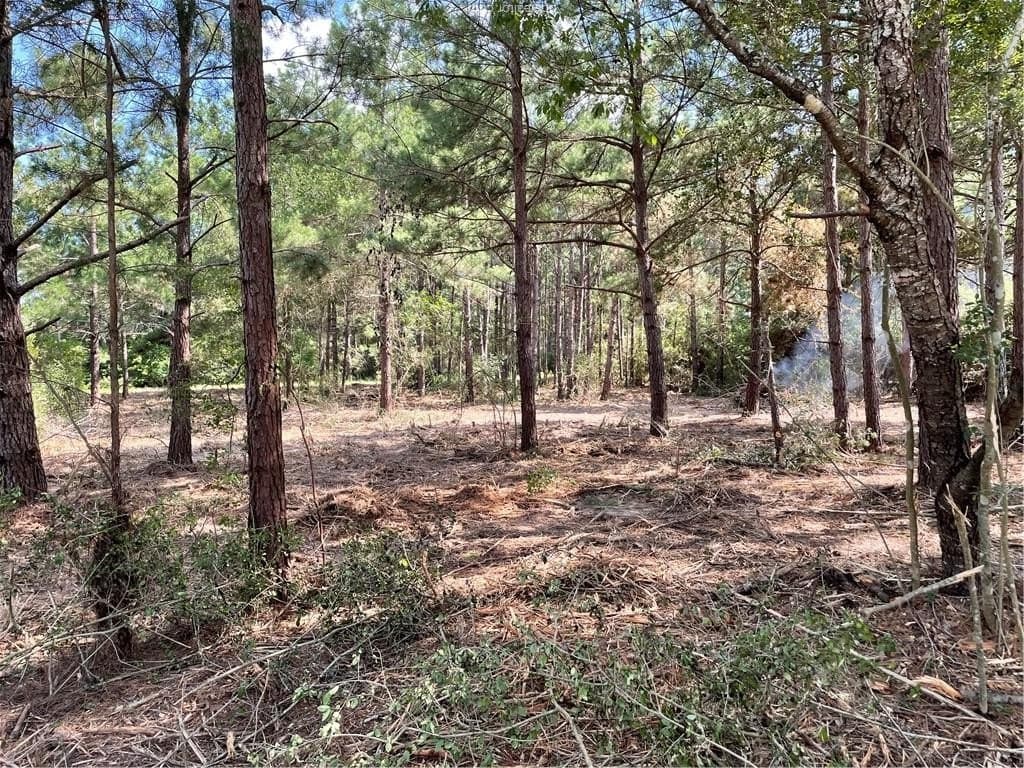 0.52 acres in Leon County
