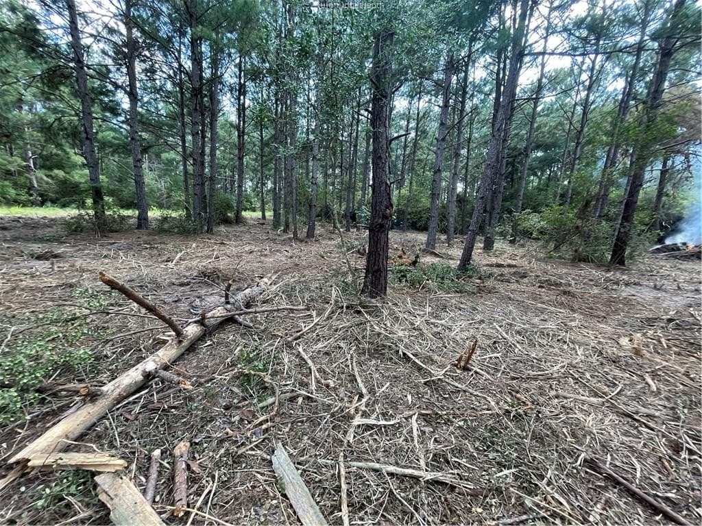 0.52 acres in Leon County featured view