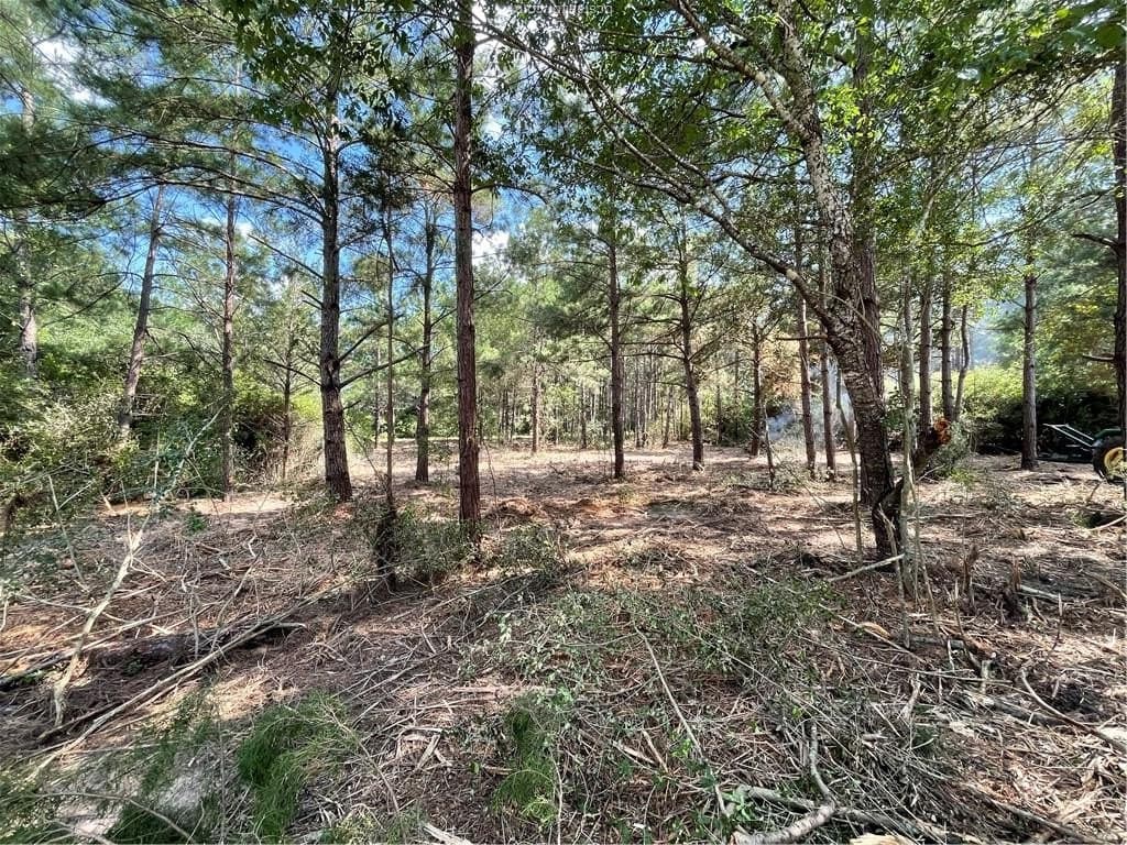 0.52 acres in Leon County gallery image 2