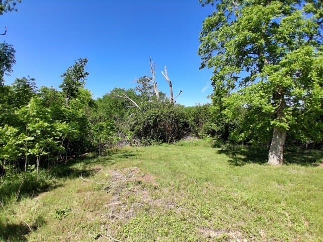 1.78 acres in McLennan County gallery image 4