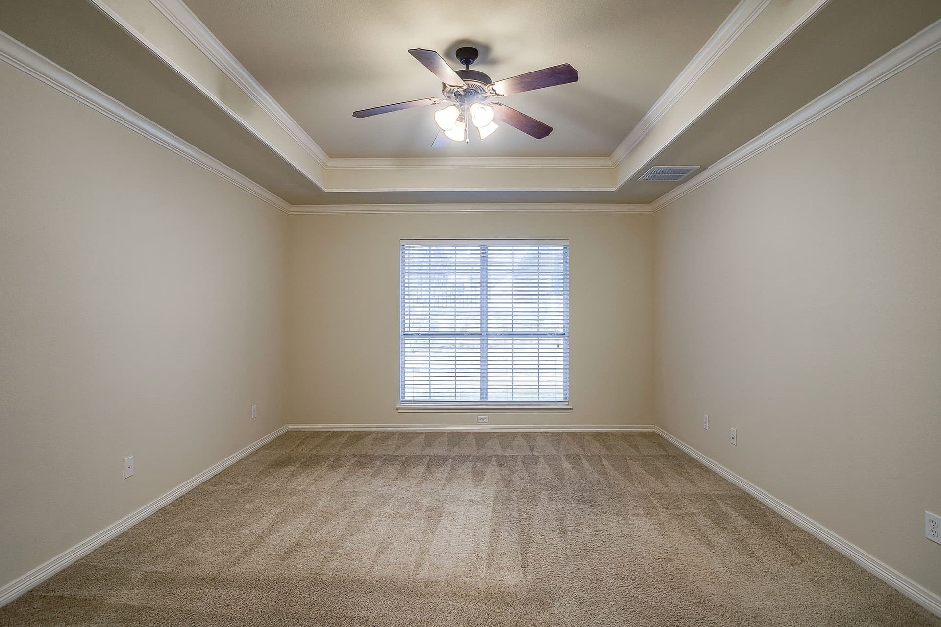 11.9 acres in Dallas County - photo 13