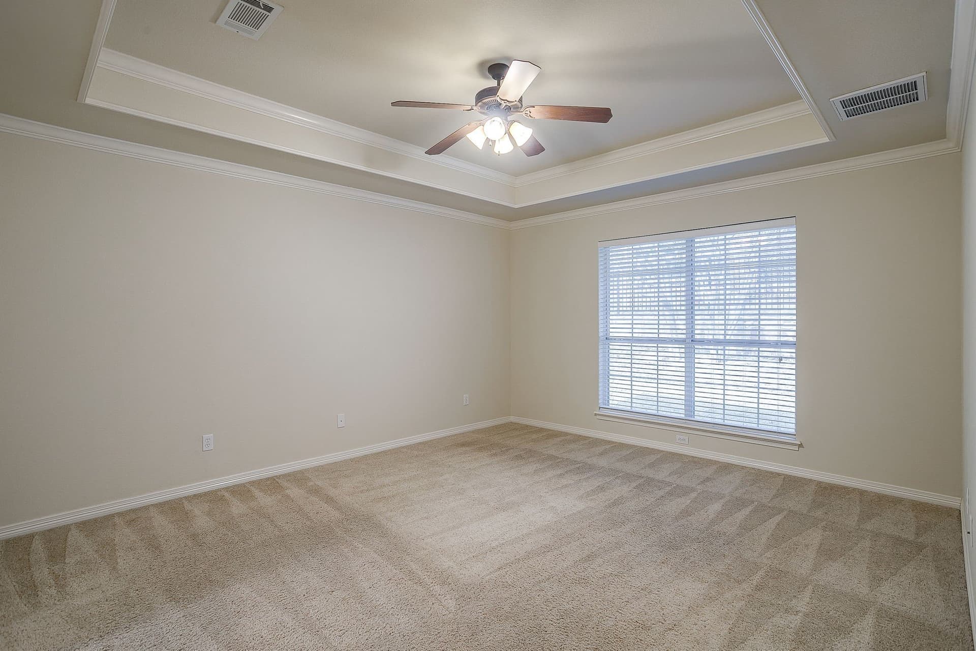 11.9 acres in Dallas County - photo 14
