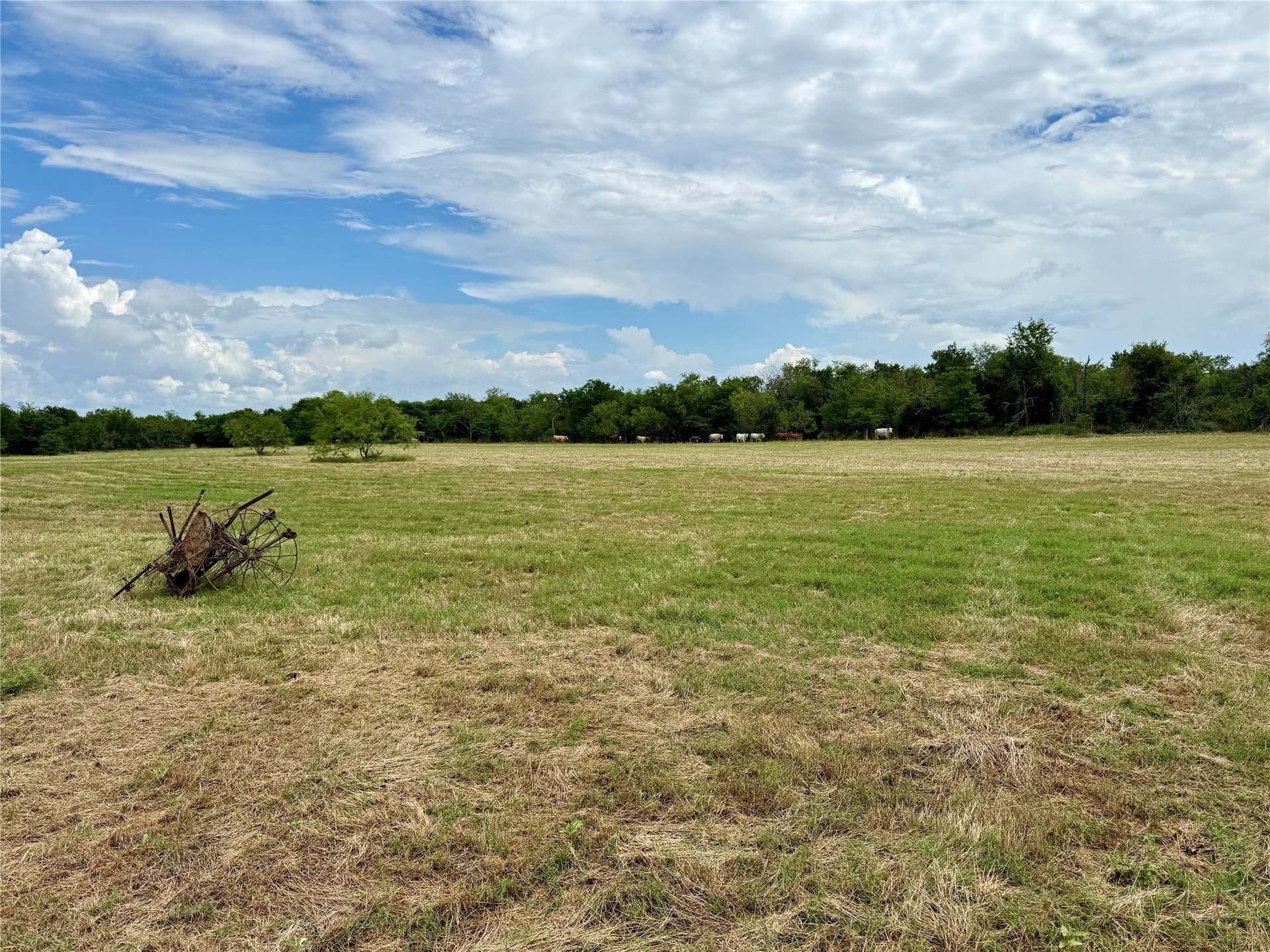 168 acres in Navarro County - photo 13