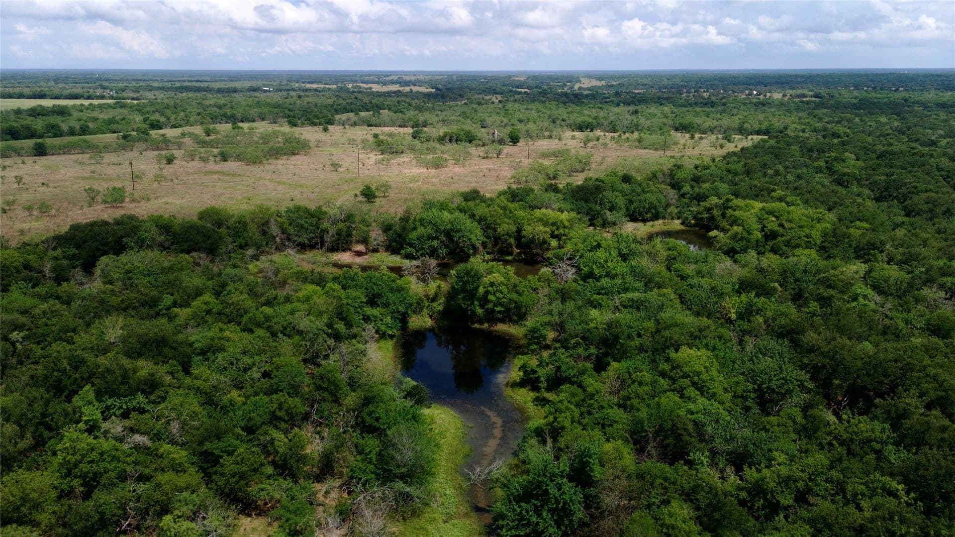 168 acres in Navarro County - photo 23