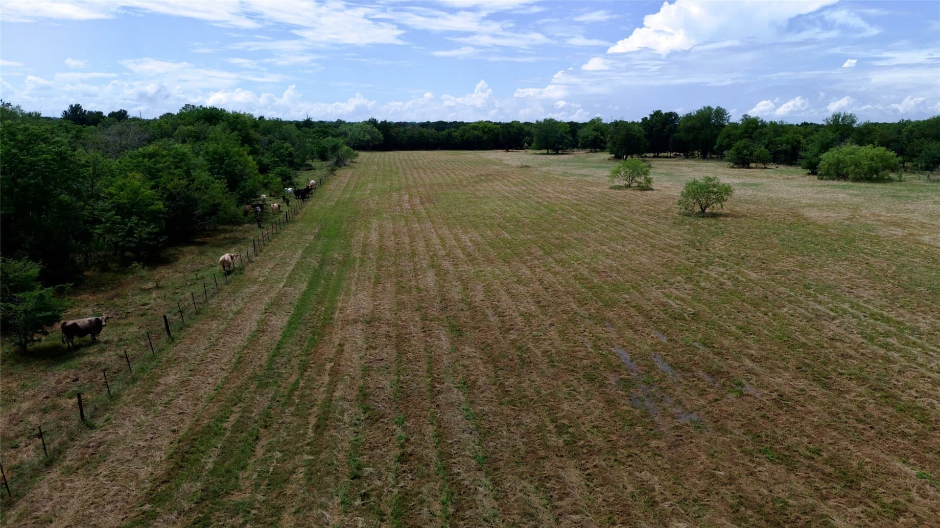 168 acres in Navarro County - photo 18