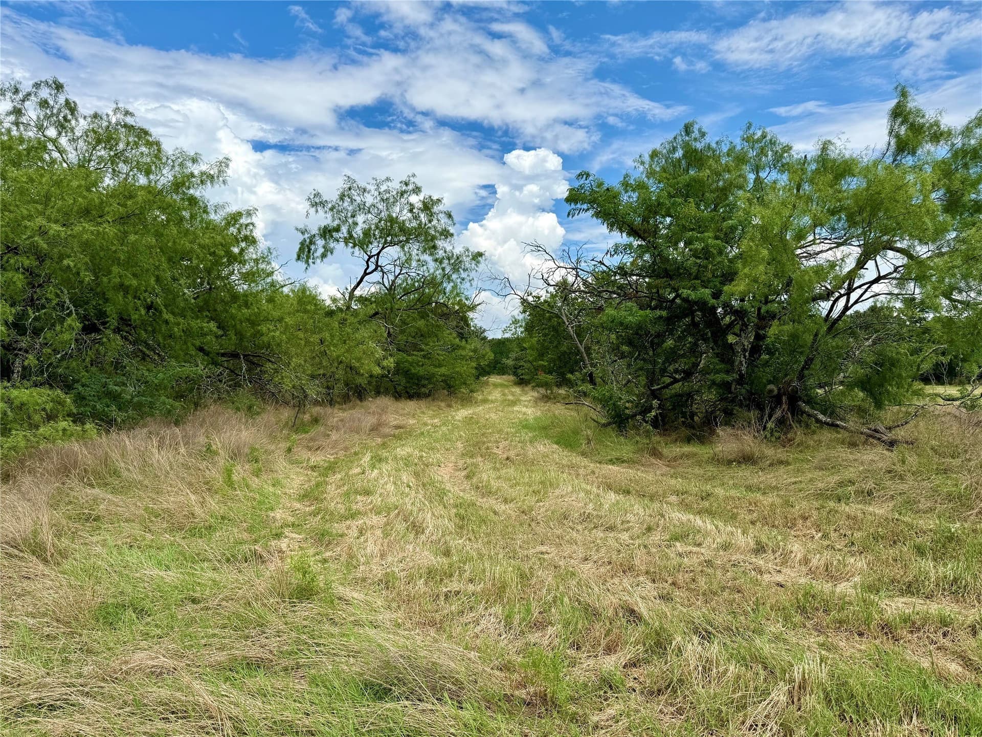 168 acres in Navarro County - photo 15