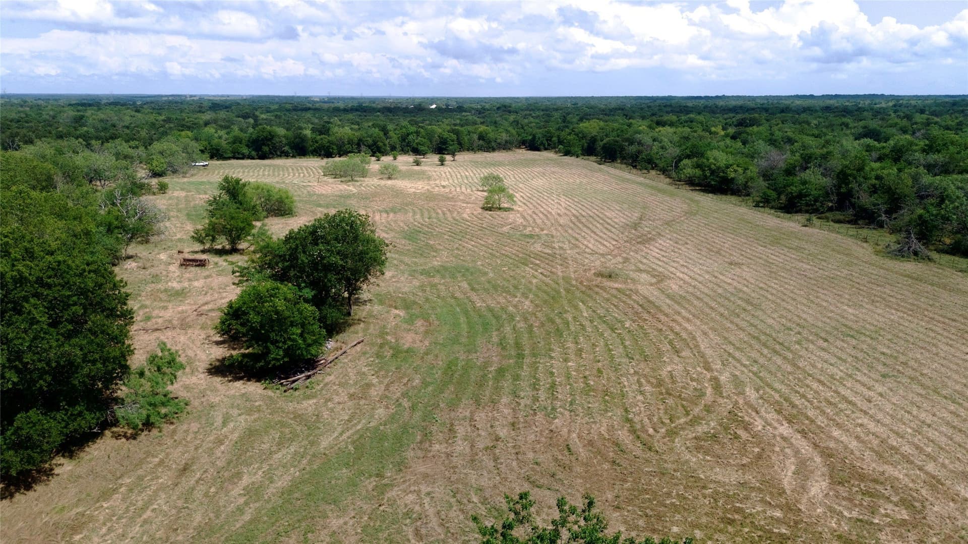 168 acres in Navarro County - photo 2