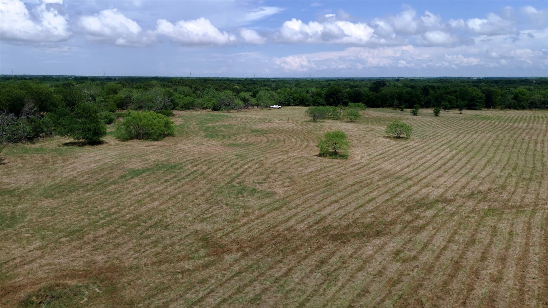 168 acres in Navarro County - photo 34