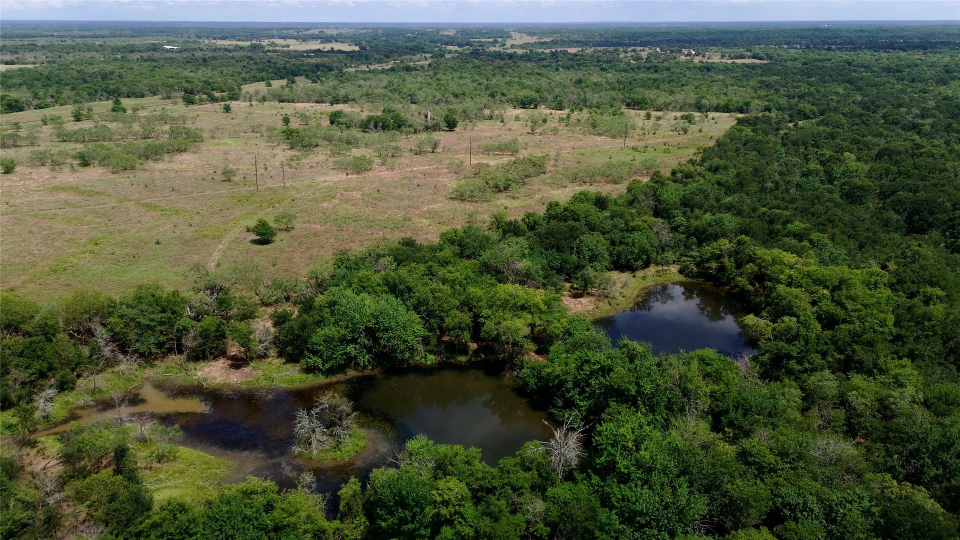 168 acres in Navarro County - photo 25