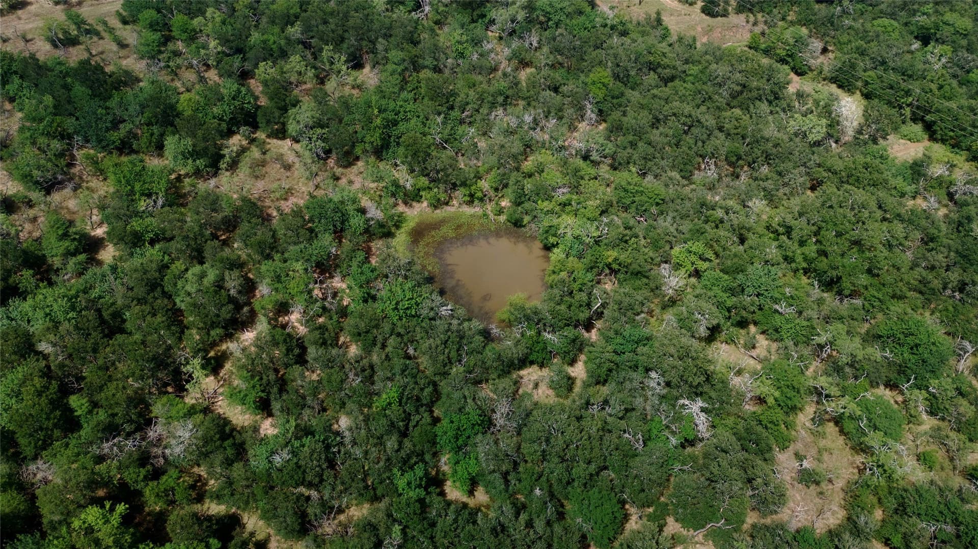 168 acres in Navarro County - photo 31