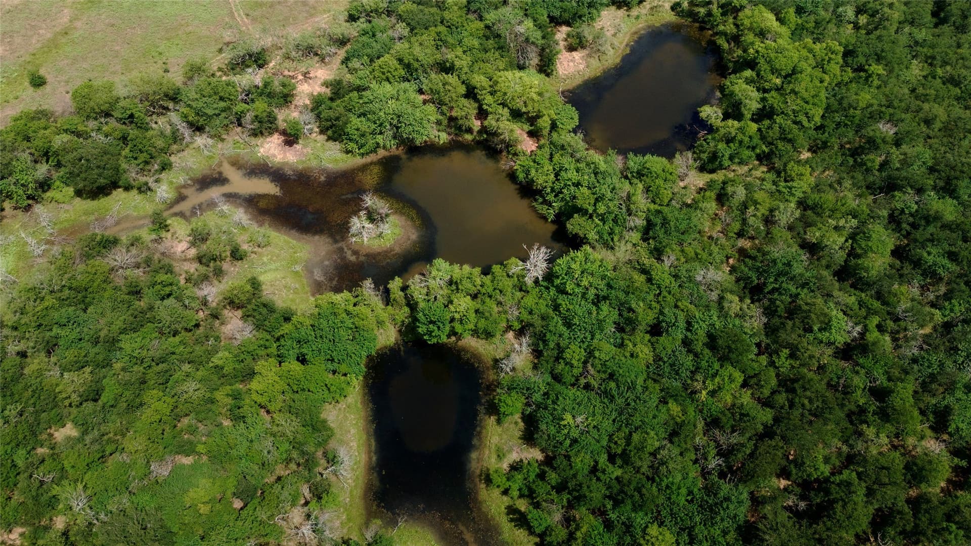 168 acres in Navarro County - photo 24