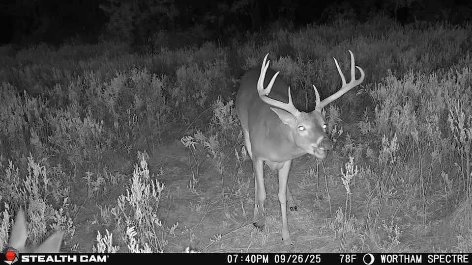 168 acres in Navarro County - photo 9