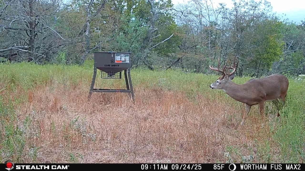 168 acres in Navarro County - photo 39